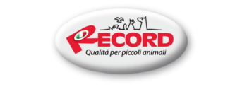 logo record